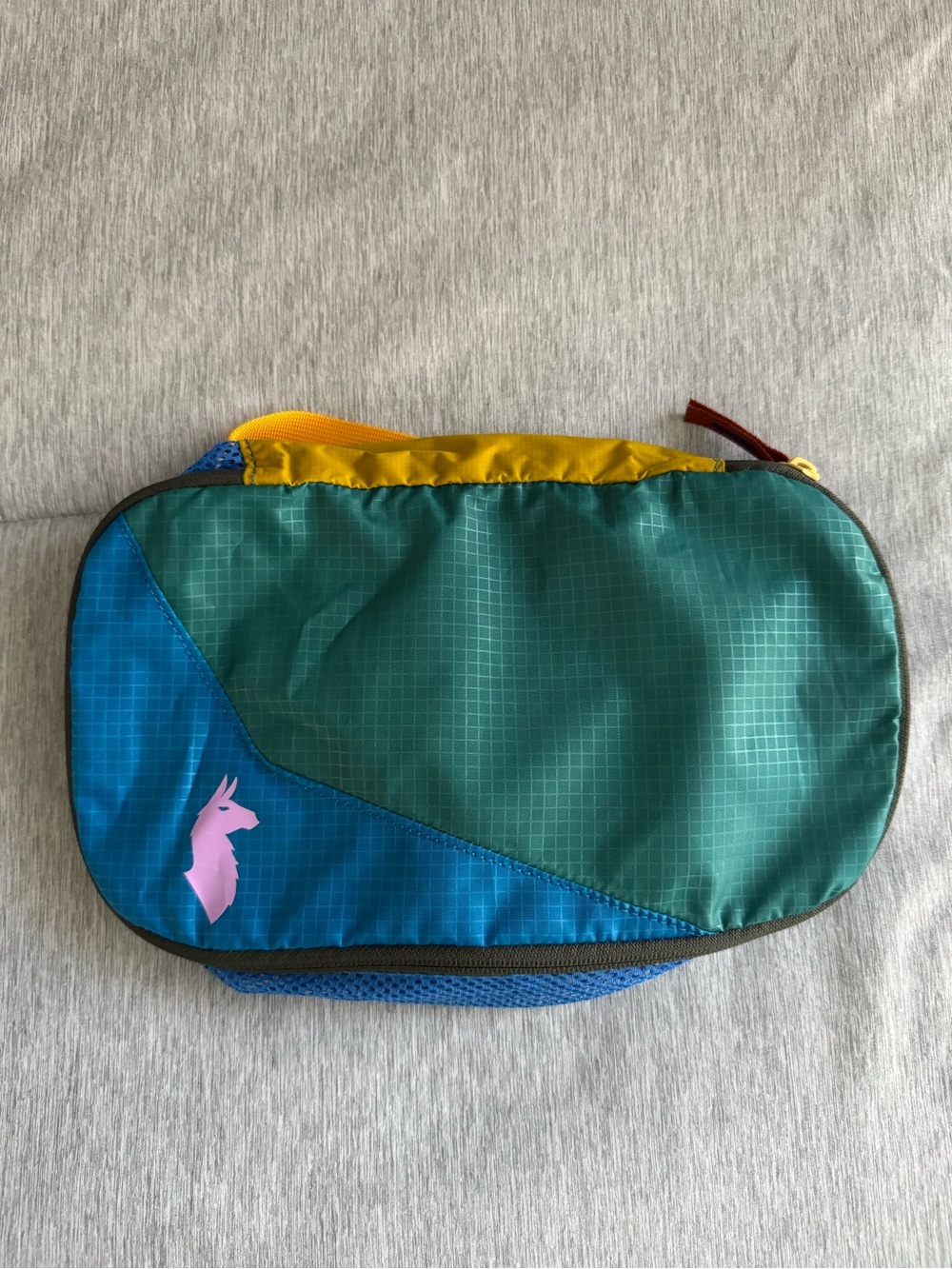 Cotopaxi Packing Cube